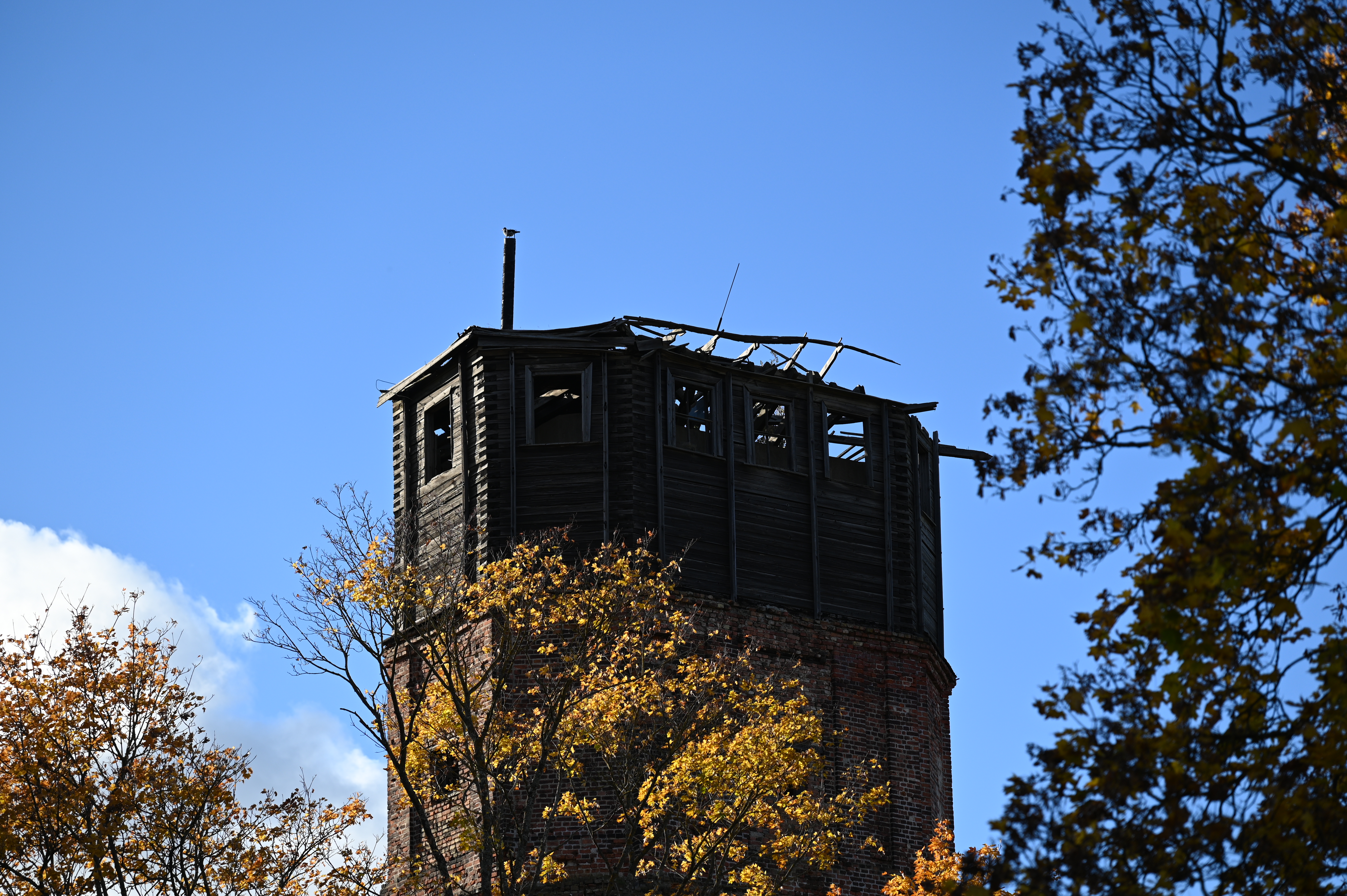 2025/10/18 - walk/DSC_0116.JPG